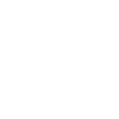 A white silhouette of the state of Florida