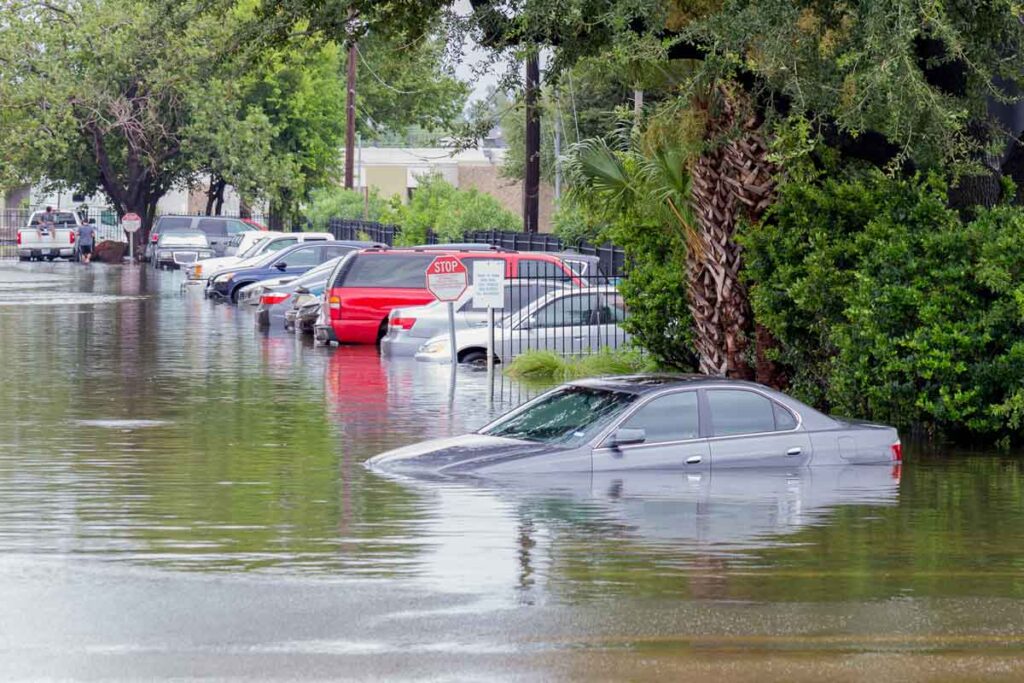 Cars in a flooded parking lot