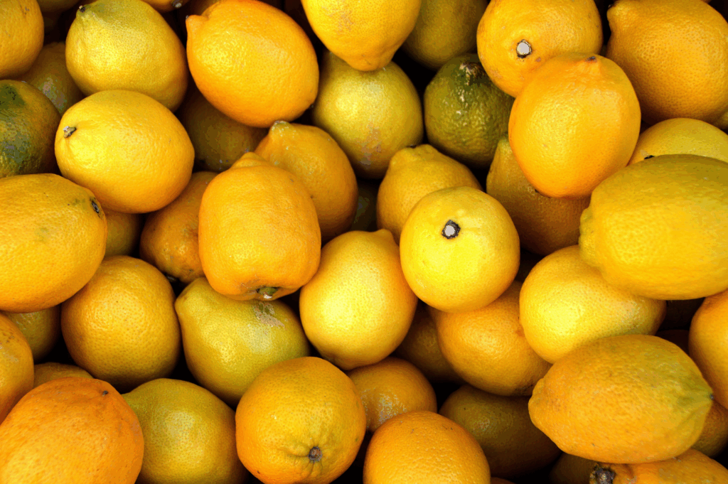 Lemon Law in Florida Everything You Need to Know
